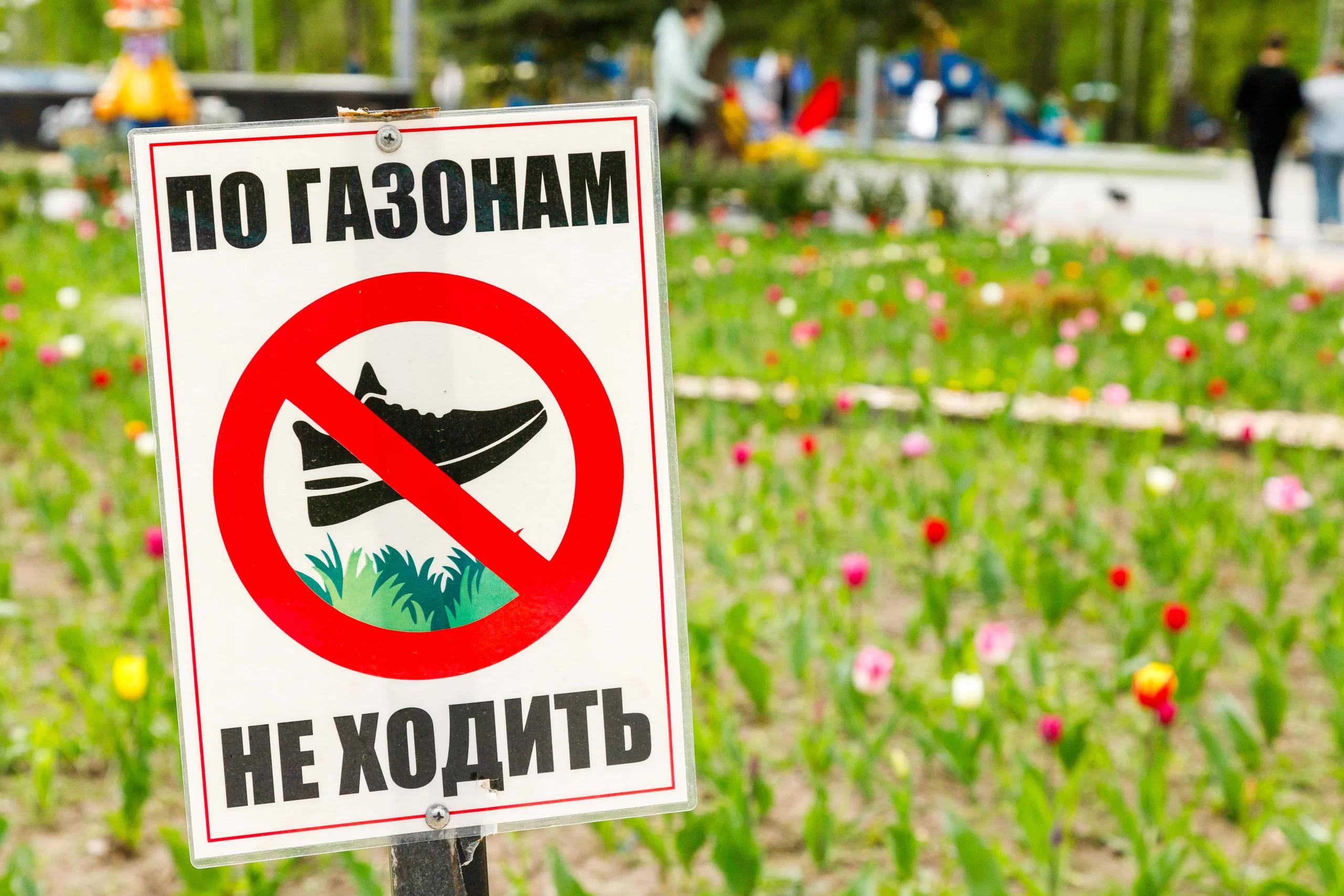 Открытие летнего сезона